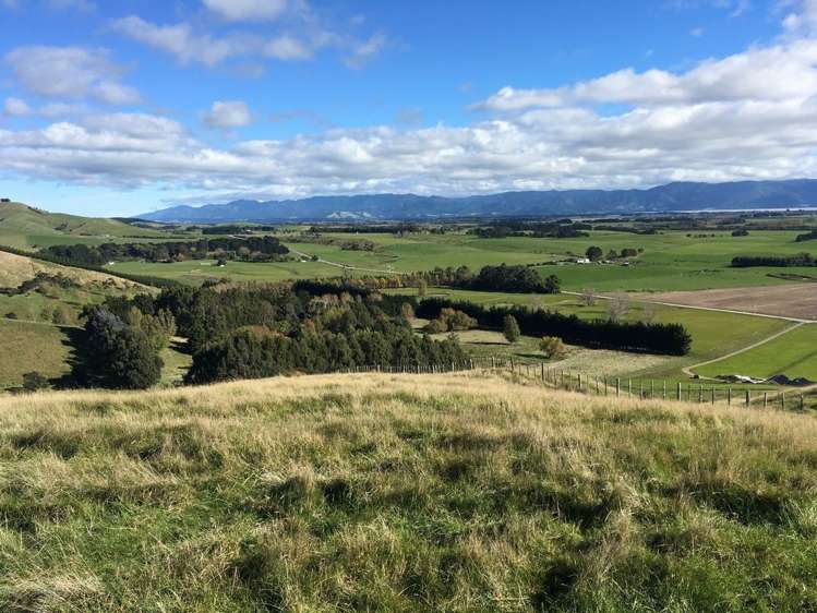 21 Sinclair Way Dyerville_14