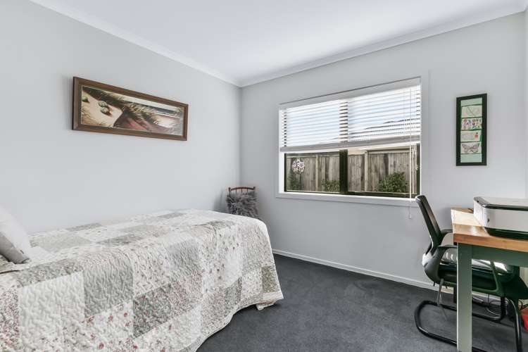10 Ash Close Levin_11