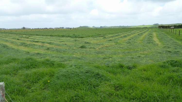 Maata Road Lot 2 Eltham_6