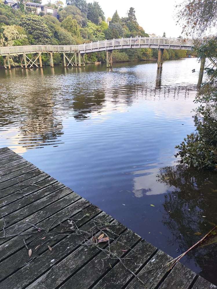 148 Lucerne Road Remuera_3