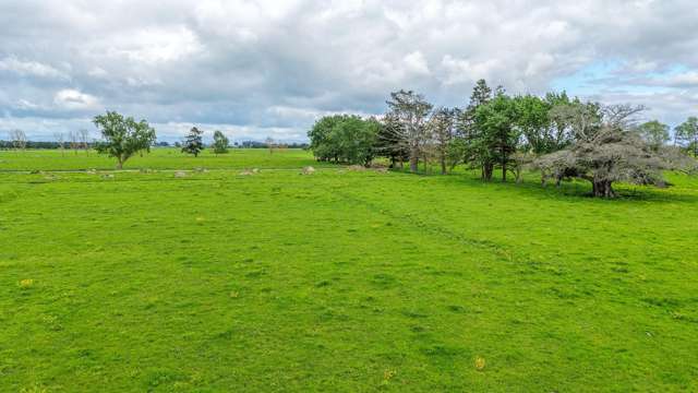 264 Matatoki Road Matatoki_4