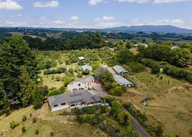 236 Waipapa Block Road Whakamarama_4