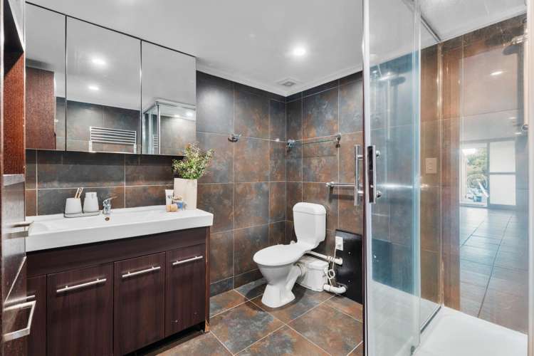 33 Alexander Street Kingsland_11