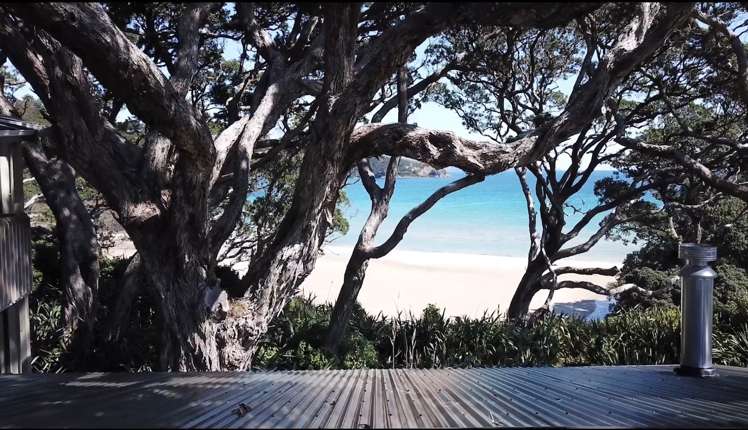 456 Shoal Bay Road Great Barrier Island (Aotea Island)_12