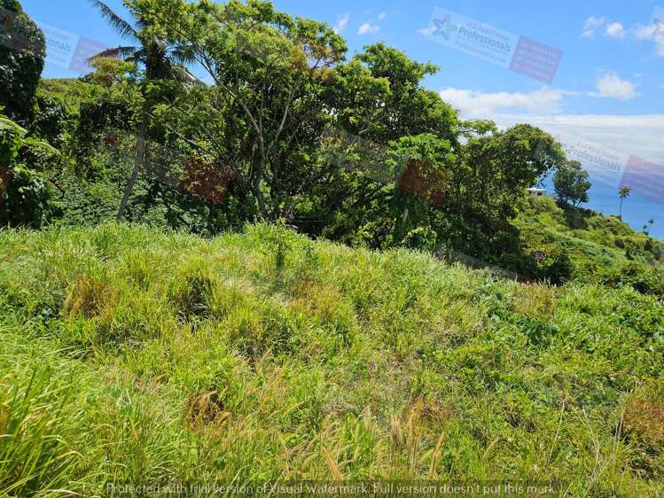 Address withheld Savusavu_5