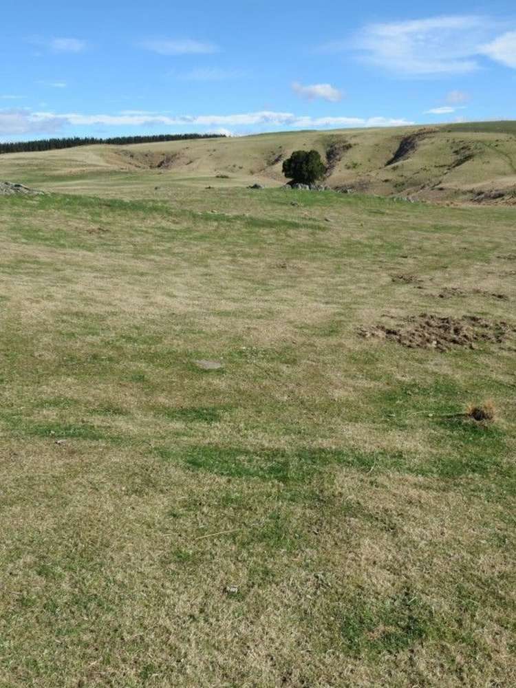 649 Kauru Hill Road Five Forks and Surrounds_26