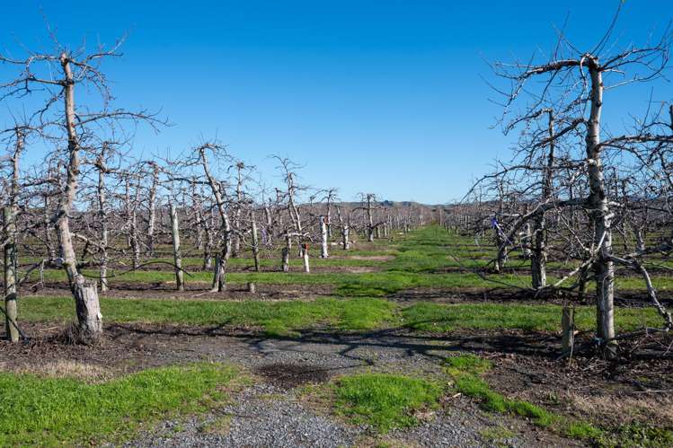 20 Parsons Road Meeanee_24