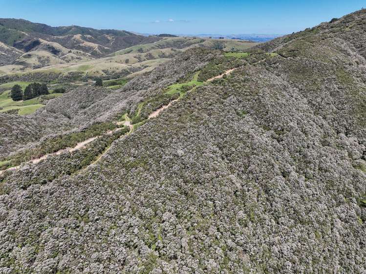 85696 State Highway 2 Mount Bruce_7