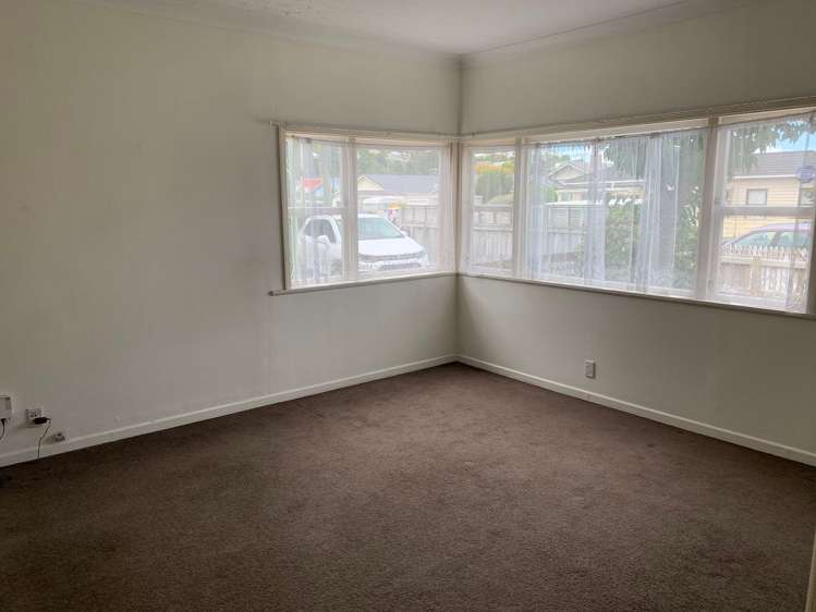 41 Rotherham Terrace Miramar_4