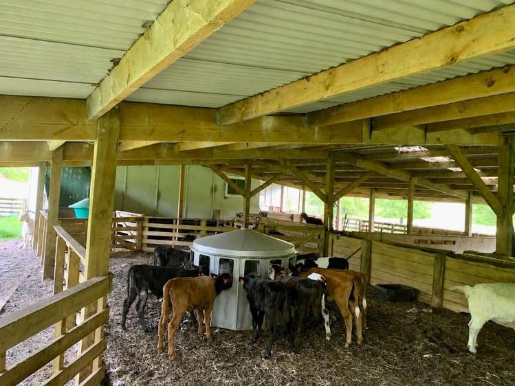 1819 Mataraua Road Kaikohe_8