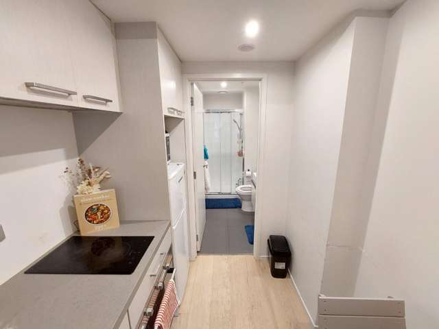 8 Airedale Street 10015_2