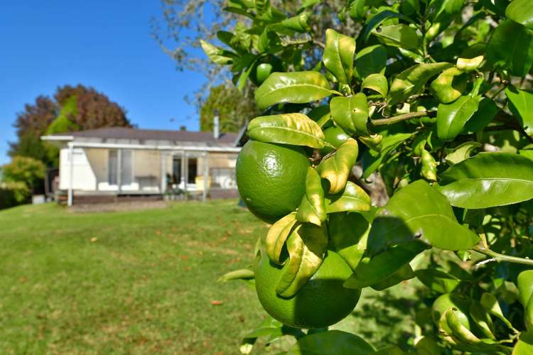 21 Maude Street Riverhead_5