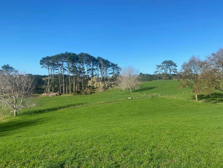 41 Marshall Road Manukau Heads_7