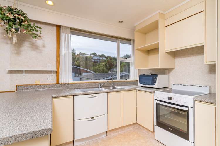 36b Evans Street Opoho_7