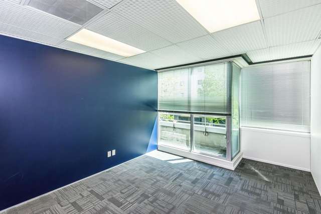 171 Hobson Street Auckland Cbd_3