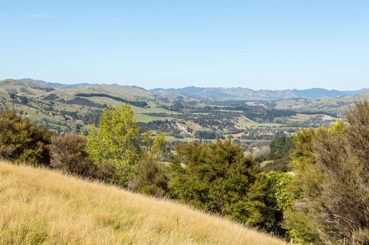 57 Admiral Station Road Gladstone_46