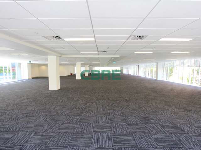 12 Nicholls Lane Parnell_3