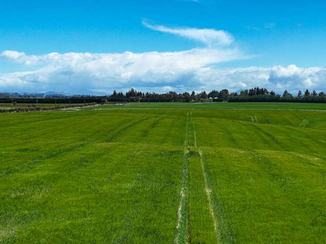 400 Mandeville Kingston Crossing Road Nine Mile_2