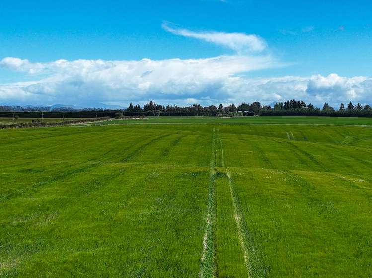 400 Mandeville Kingston Crossing Road Nine Mile_2