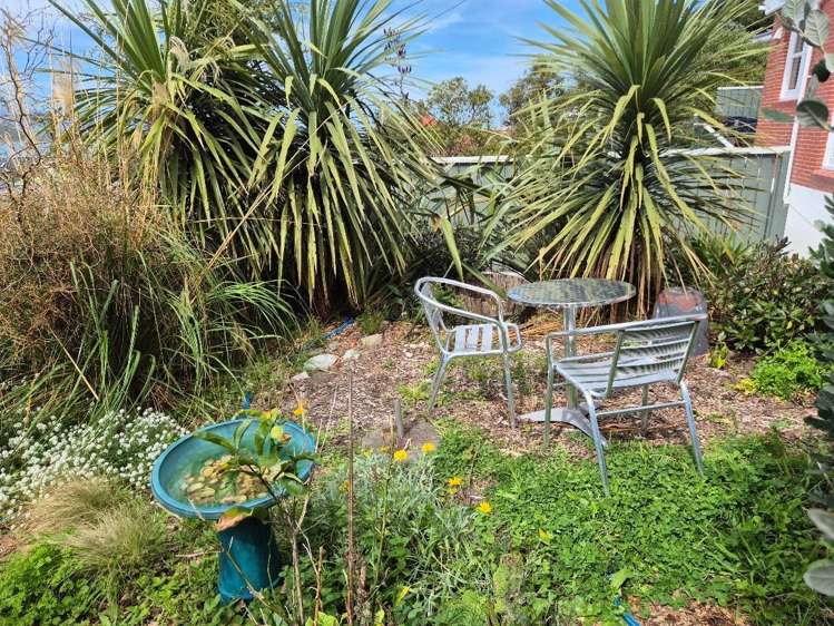 Address withheld Lyall Bay_15