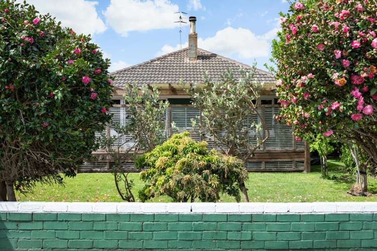 18 Carisbrooke Street Katikati_14