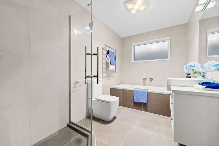 9 Calcite Avenue Flat Bush_18