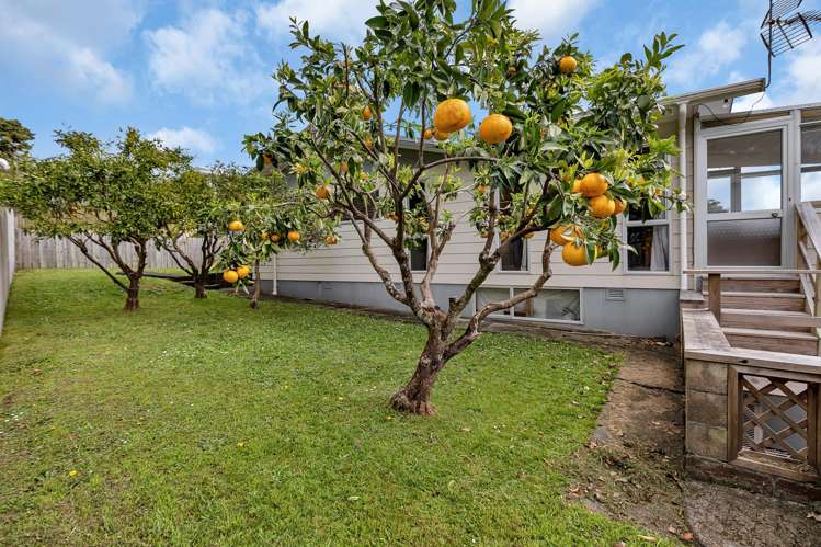 5B Robin Hood Place Onerahi_22