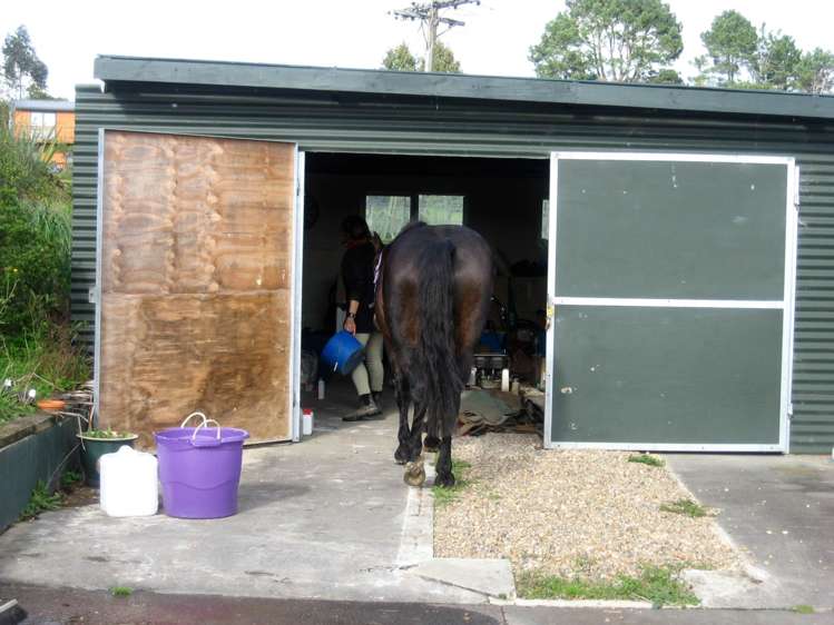 426 Blackbridge Road Dairy Flat_23