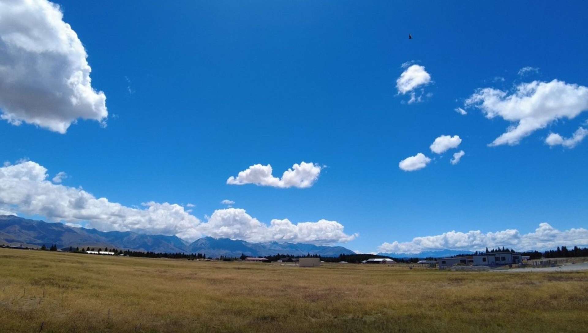 Stage 6 Tussock Bend Twizel_0