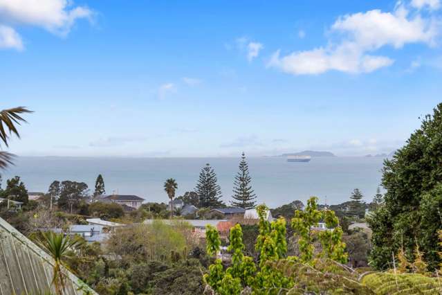 16 Braemar Road Castor Bay_4