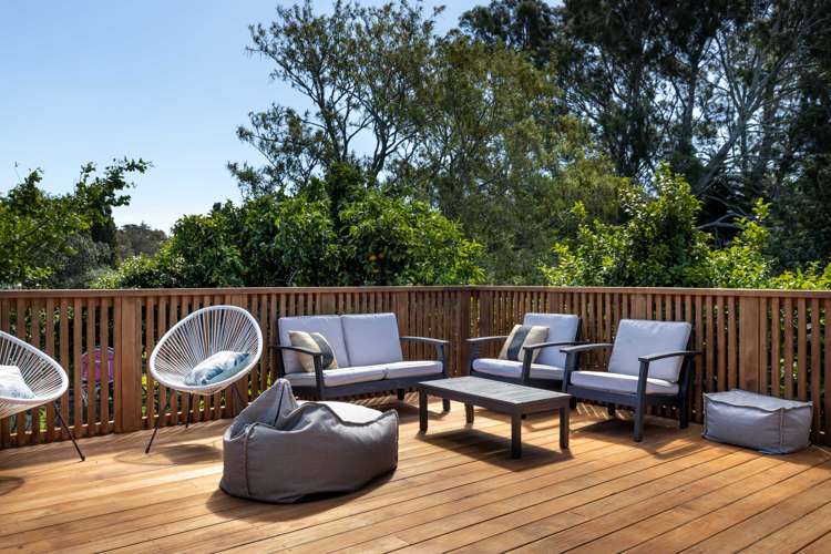 43 Essex Street Vogeltown_1