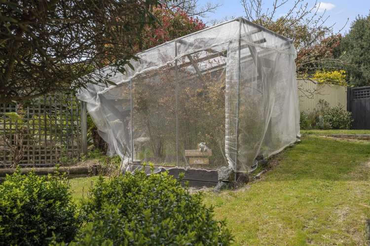 35 Taharepa Road Hilltop_28