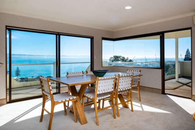 42 Roslyn Road Bluff Hill_2