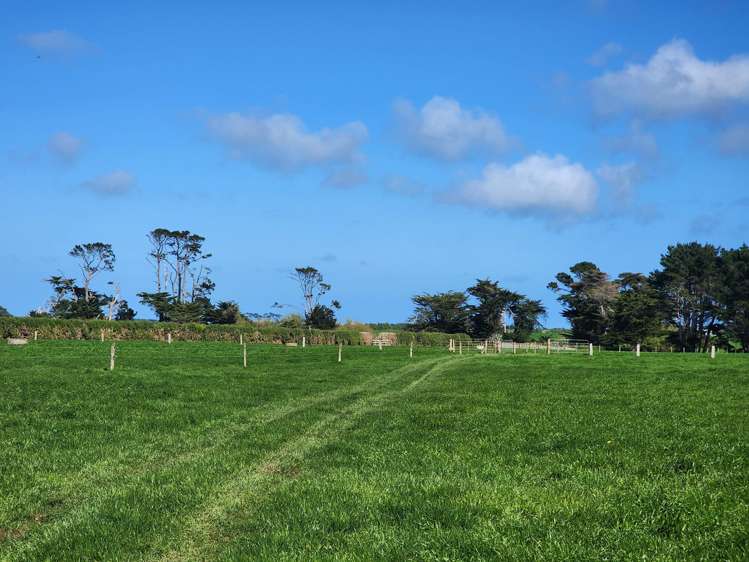 Ahipaipa Road Okaiawa_2