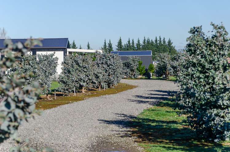 43 Andersons Line Carterton_17