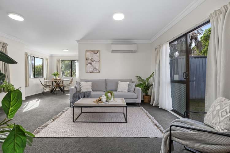 28 Selwyn Street Tauranga Central_6