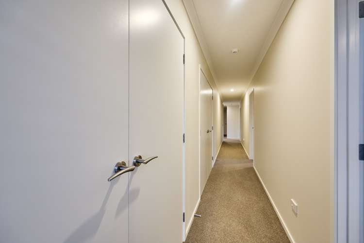 8 Pukeko Place Kaikoura_70