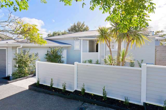 37 Miller Street Pt Chevalier_4