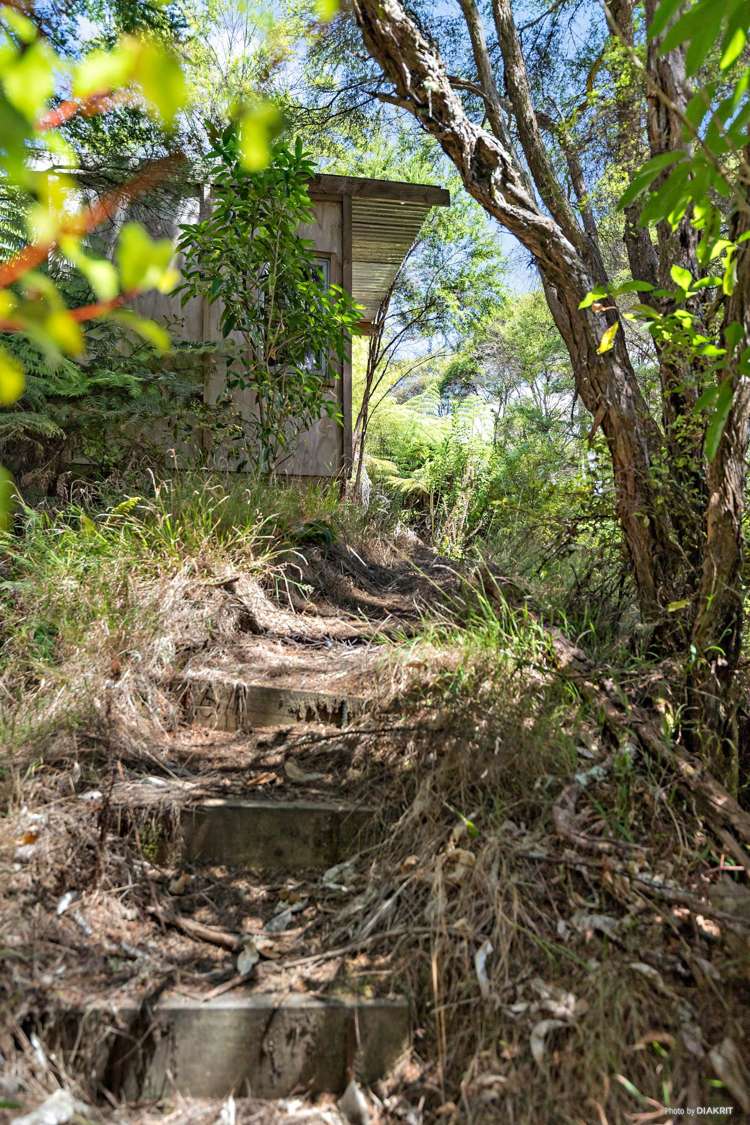 84 Pinnacle Hill Road Mangatawhiri_16