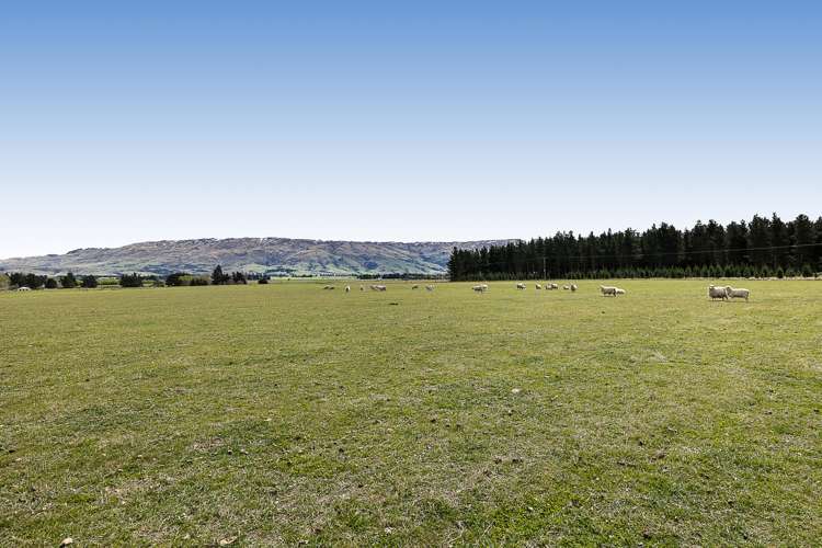 5622 Middlemarch-Sutton Road Middlemarch_6