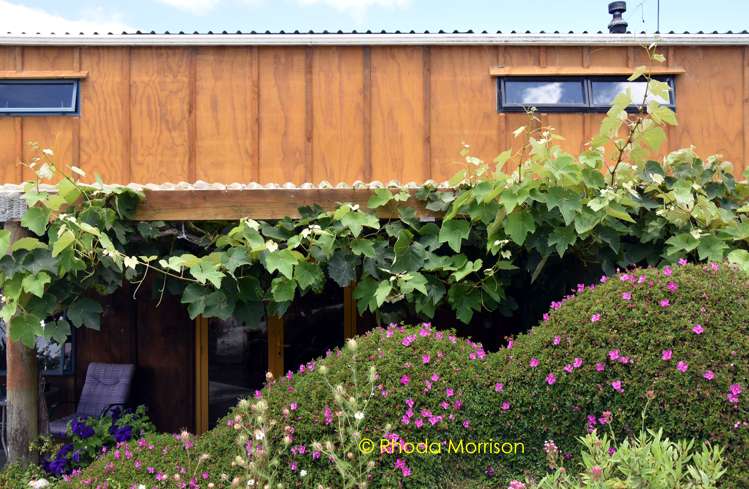 318 Franklin Road Paparoa_15