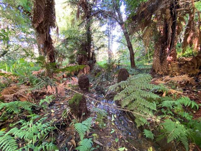 175 George Street Tuakau_3