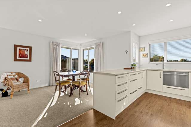 48 Ti Rakau Drive Woolston_1