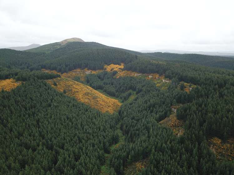 Palmerston-Waikouaiti Road Palmerston_1