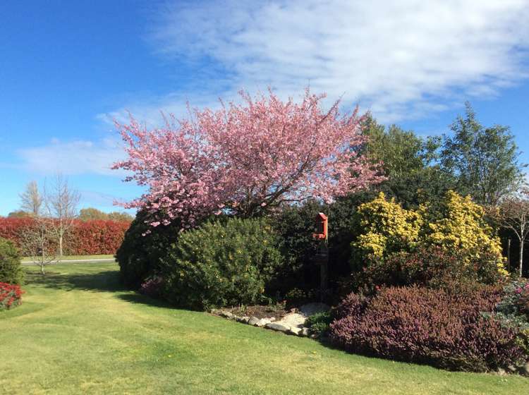 8 Willowside Place Amberley_23