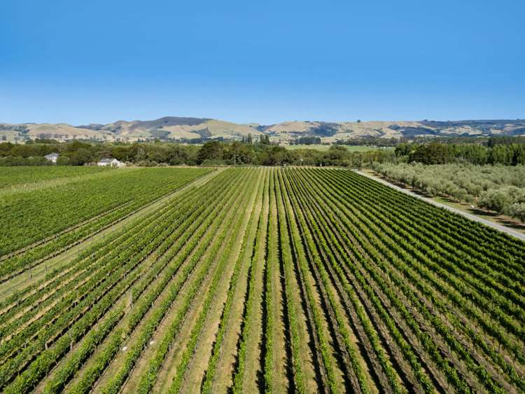 224 Dakins Road East Taratahi_27