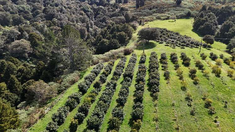 5631 State Highway 12 Kaikohe_16