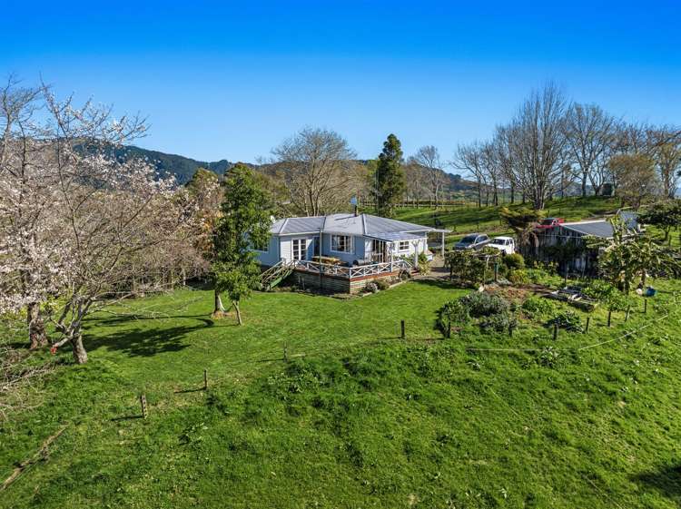 671b Paerata Ridge Road Opotiki and Surrounds_5