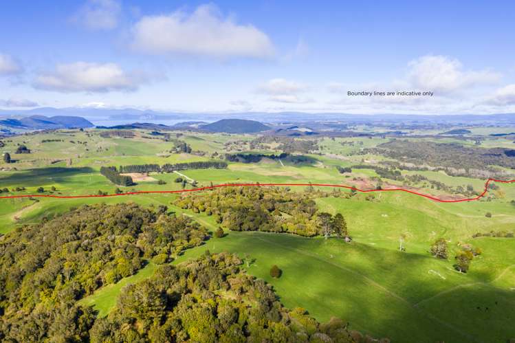 1274 Poihipi Road Oruanui_16