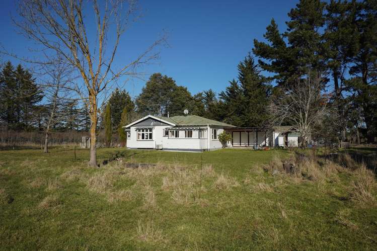 21 Miller Street Cheviot_24